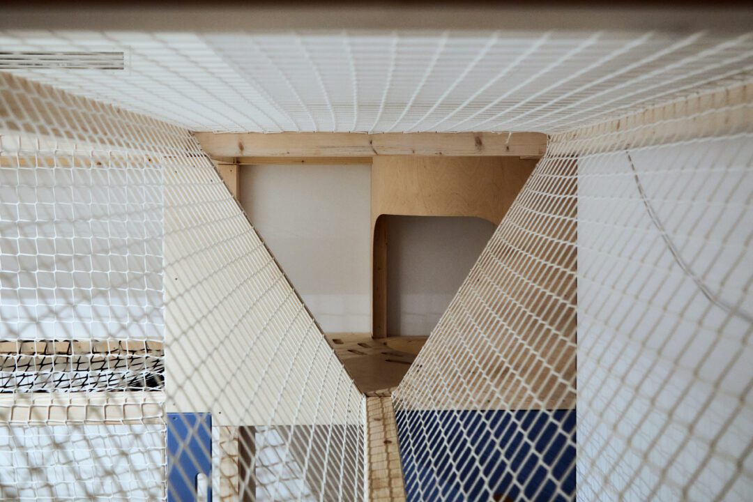 równoważnia, element drewnianego małpiego gaju