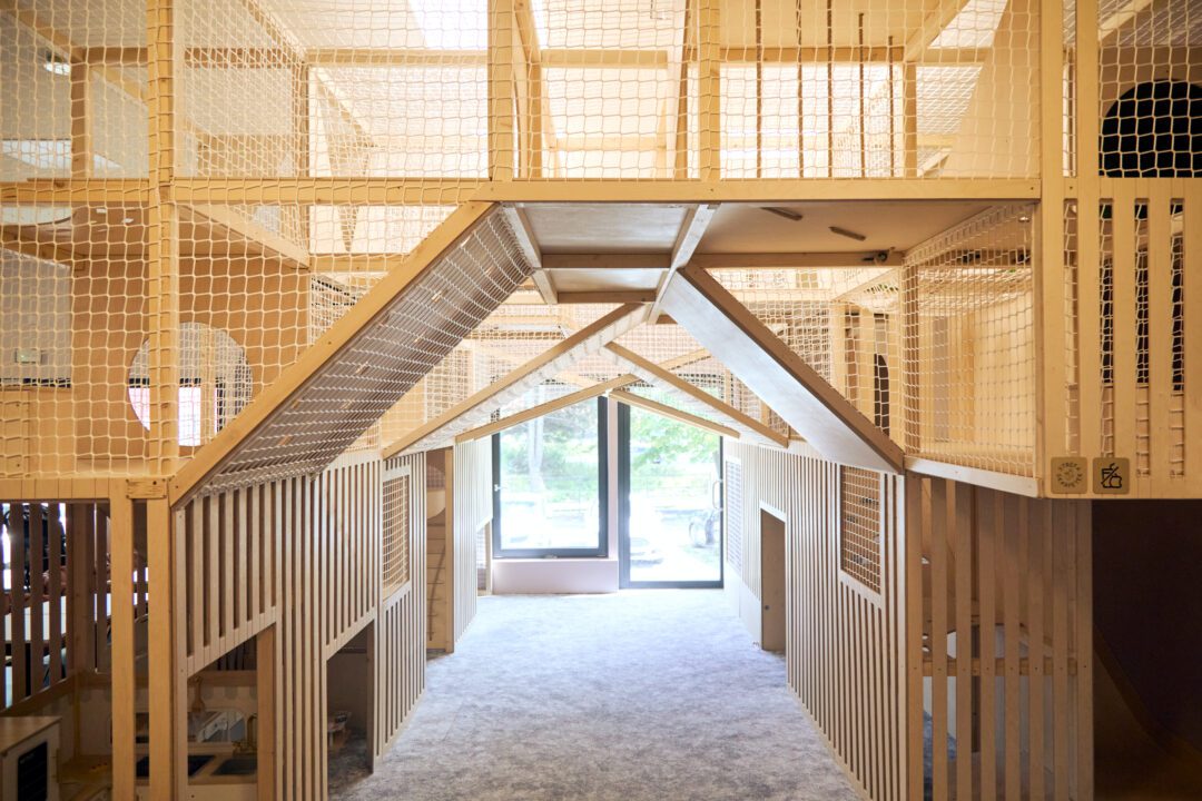 drewniany plac zabaw w bawialni